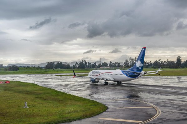 Peut-on trouver une maison de vacances en Bretagne avec des ateliers de sculpture sur bois et des randonnées en forêt?